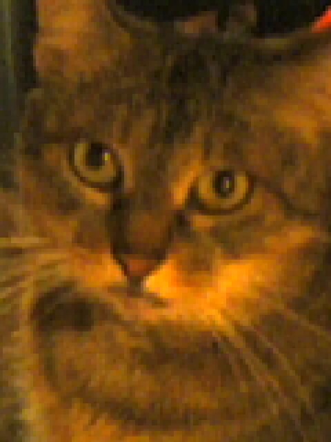 Mizie